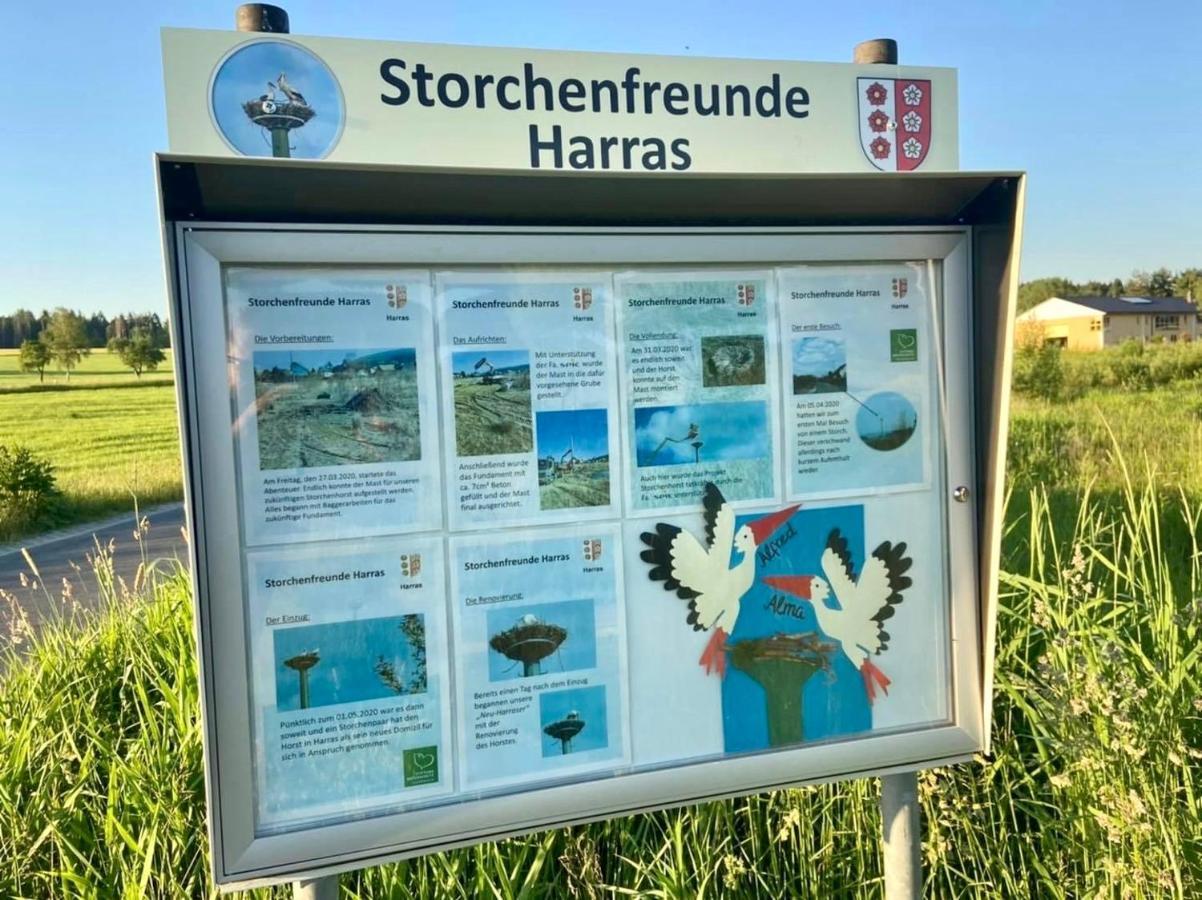 Ferienwohnung Storchennest Eisfeld Bagian luar foto
